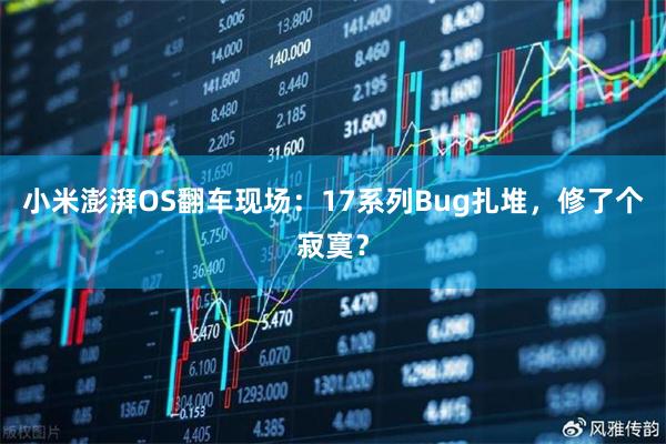 小米澎湃OS翻车现场：17系列Bug扎堆，修了个寂寞？